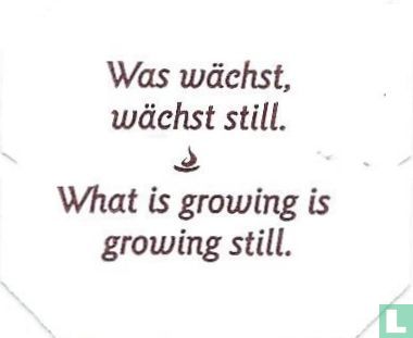 Was wächts, wächts still. • What is growing is growing still. - Afbeelding 1
