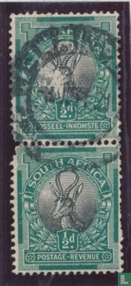 Springbok - Image 2