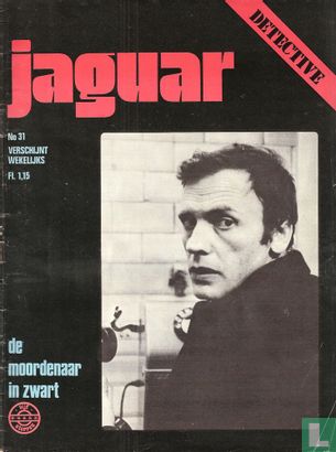 Jaguar 31 - Image 1