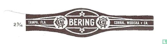 Bering - Bild 1