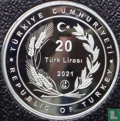 Turkije 20 türk lirasi 2021 (PROOF) "Ibn-I Sina - Avicenna" - Afbeelding 1