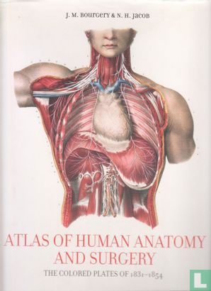 Atlas of Human Anatomy and Surgery - Bild 1