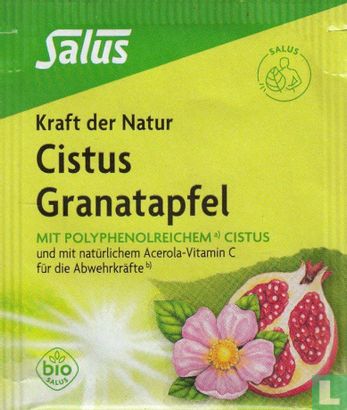 Cistus Granatapfel - Bild 1