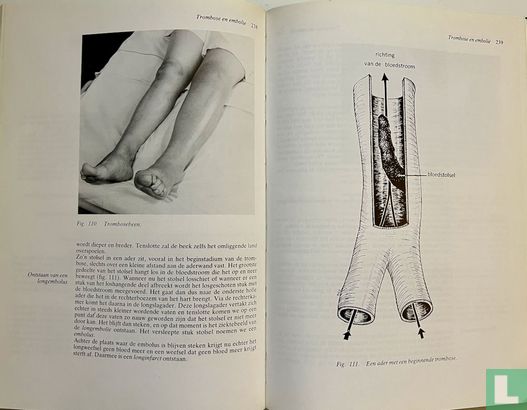 Anatomie, Pathalogie en fysiologie - Image 3