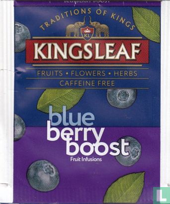 blue berry boost - Image 1