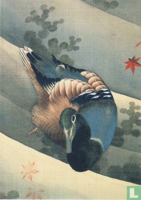 Duck Swimming in Water (1847) - Bild 1