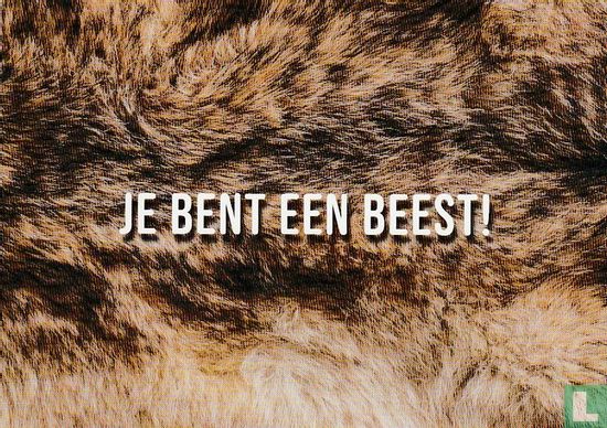 B220158 - dierenvrienden "Je Bent Een Beest!" - Image 1