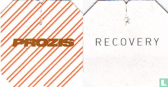 Recovery - Image 3