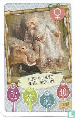 Merrie (Nijlpaard) / Maman Hippotame - Afbeelding 1