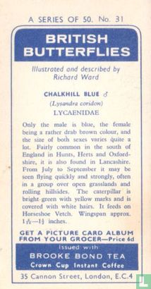 Chalkhill Blue - Image 2