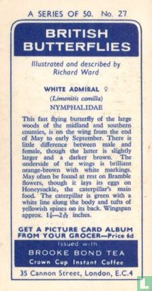 White Admiral - Afbeelding 2