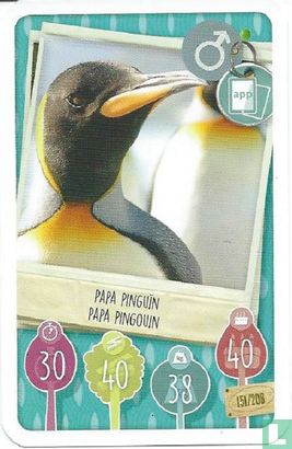 Papa Pinguïn / Papa Pingouin - Afbeelding 1