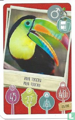 Papa Toekan / Papa Toucan - Afbeelding 1