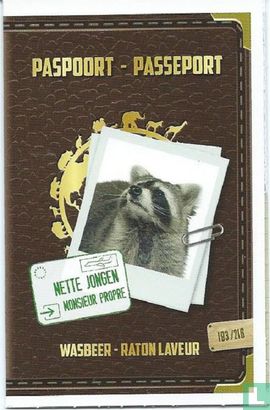 Wasbeer Paspoort / Raton laveur Passeport - Image 1