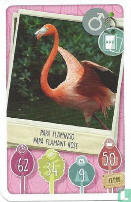Papa Flamingo / Papa Flamant Rose - Image 1