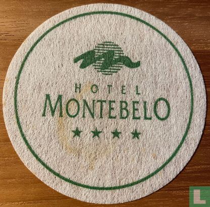 Hotel Montebelo