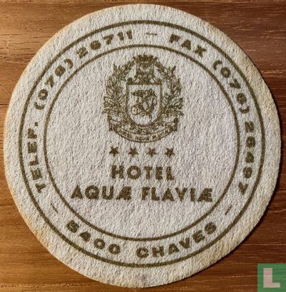 Hotel Aquae Flaviae
