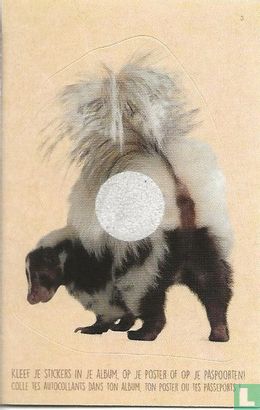 Stinkdier - Skunk (reliëf) - Bild 1