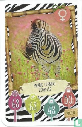 Merrie (Zebra) / Zébrelle - Afbeelding 1
