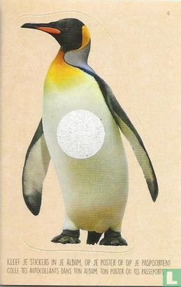 Pinguin - Pingouin (reliëf) - Afbeelding 1