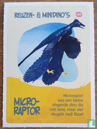 Microraptor - Afbeelding 1