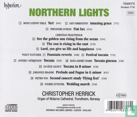 Northern lights - Image 2