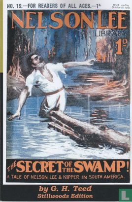 The secret of the swamp - Afbeelding 1