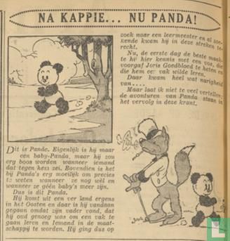 Panda et le maître voleur - Image 3