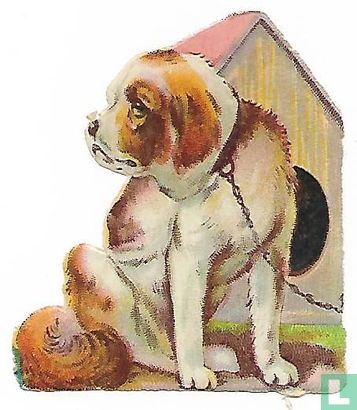 Hond aan keting voor hondenhok - Image 1