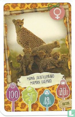 Mama Jachtluipaard) / Maman Guépard - Afbeelding 1