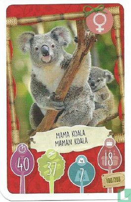 Mama Koala / Maman Koala - Afbeelding 1