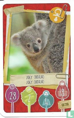 Joey (Koala) / Joey (Koala) - Image 1