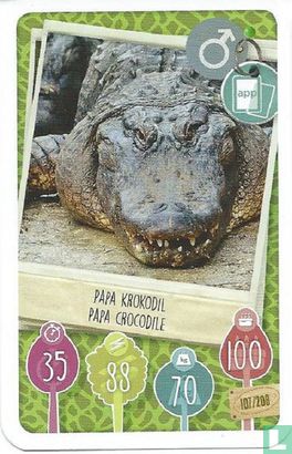 Papa Krokodil / Papa Crocodile - Afbeelding 1
