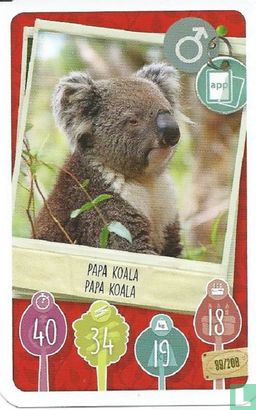 Papa Koala / Papa Koala - Afbeelding 1