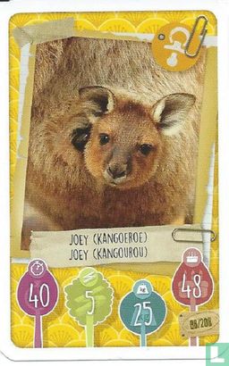 Joey (Kangoeroe) / Joey (Kangourou) - Bild 1