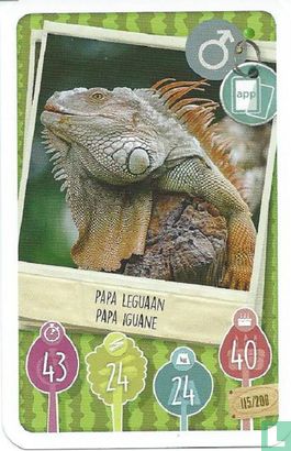 Papa Leguaan / Papa Iguane - Afbeelding 1