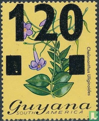 Chelonanthus uliginoides (Aufdruck)