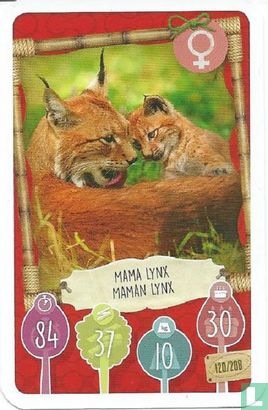 Mama Lynx / Maman Lynx - Afbeelding 1