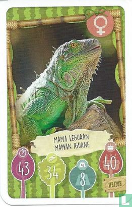 Mama Leguaan / Maman Iguane - Afbeelding 1