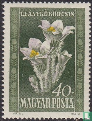 Ungarischen Flora