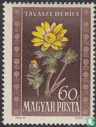 la flore hongrois