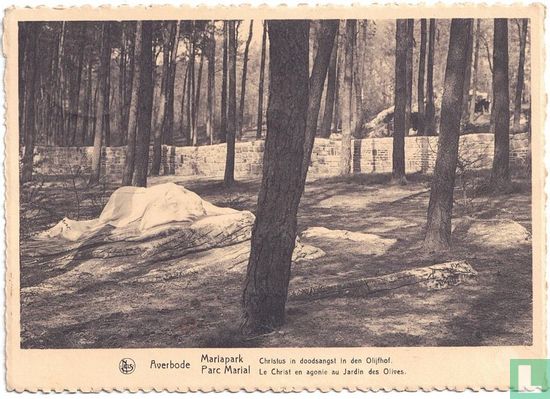 Mariapark - Christus in doodsangst in den Olijfhof - Afbeelding 1
