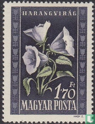 Hungarian flora