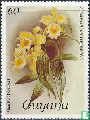 Orchideeën II