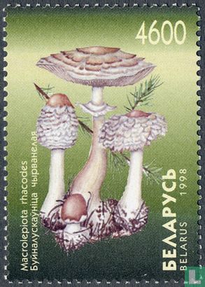 Eetbare paddenstoelen 