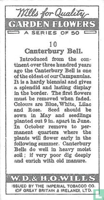 Canterbury Bell - Afbeelding 2