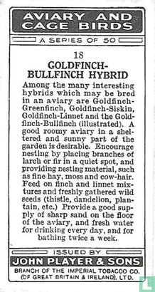 Goldfinch-Bullfinch Hybrid - Image 2