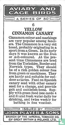 Yellow Cinnamon Canary - Afbeelding 2