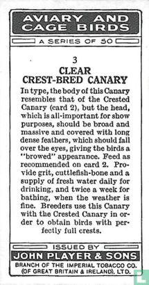 Clear Crest-Bred Canary - Afbeelding 2