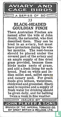 Black-Headed Gouldian Finch - Image 2